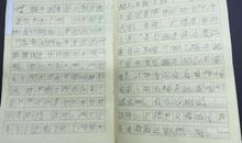 森林运动会看图写话