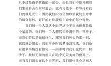 以网红为话题的议论文