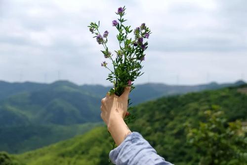 闲暇时的幸福