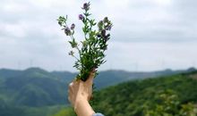 闲暇时光里的快乐