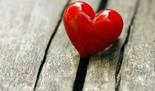 一句话便是春天