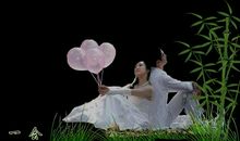 思念随风蝶飘远