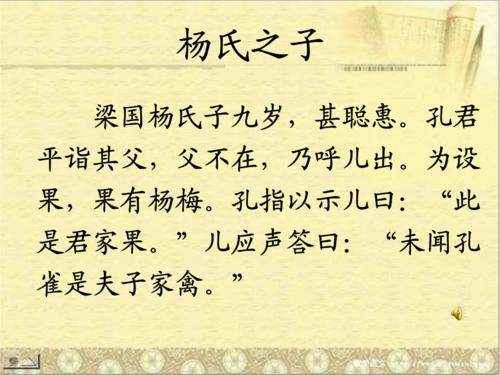 改编自杨的儿子