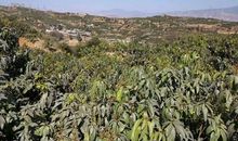 田间地头的幸福