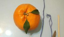 有一种温暖叫小桔灯