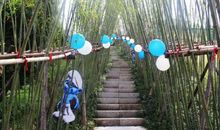 心灵深处的绿意