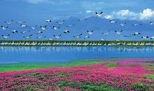 人与自然和谐共生