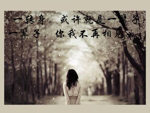 当我转身