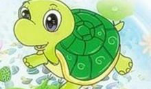 乐于助人的乌龟