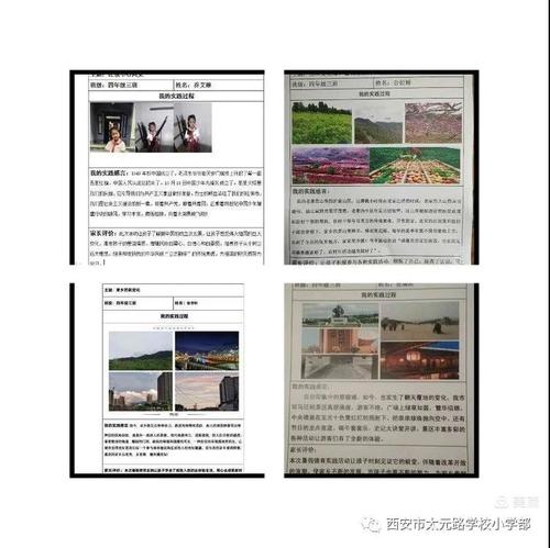 学校的新变化
