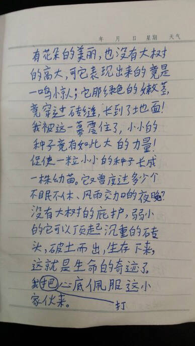 撰写有关about的顽强生活的文章