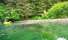 第一次捕猎成功