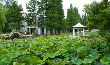 校园的四季之路