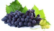 我喜爱的水果葡萄