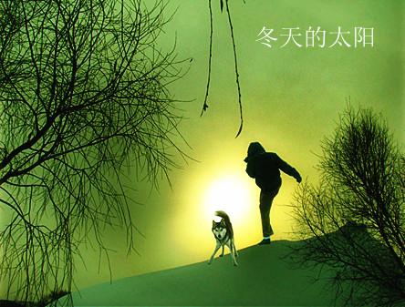 冬天的太阳