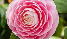 令人难以忘怀的一刻