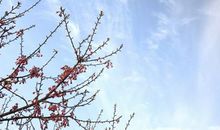 一波三折的拍夕阳