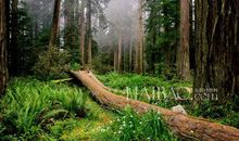 心怀珍惜，拥抱美好