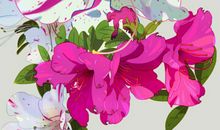 埋在时间深处的那个人