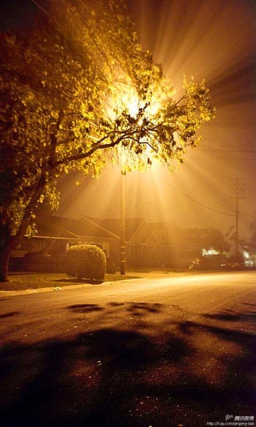 那温暖的夜晚