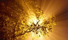 那个温暖的夜晚