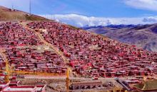 一次不经意的遇见