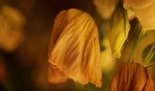 妈妈的“受难日”