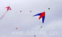 希望已久的风筝比赛
