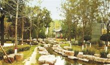 美丽的箕城公园