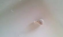 假如我是一粒魔法药丸