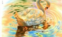 那一抹微笑令人难忘