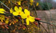 我与春天来个拥抱