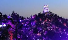 安吉凤凰山一日游