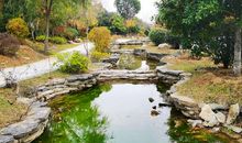 心灵深处的流水