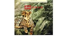 情豹布哈依读后感