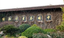 春游茶叶博物馆