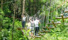 我第一次飞跃丛林