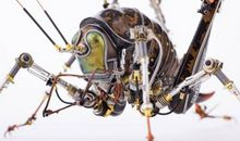 昆虫世界大冒险