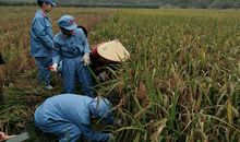 记一次难忘的秋游