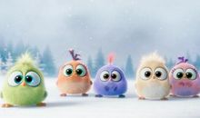 成为小鸟的10天