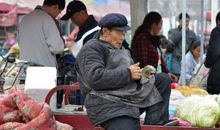 那个卖菜的老爷爷