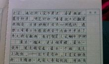 我与东北读后感