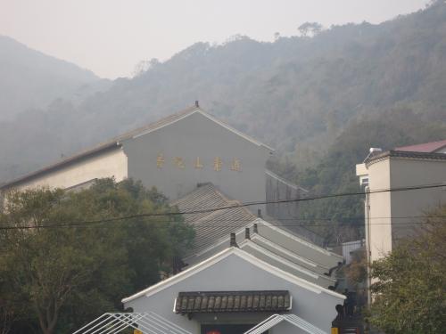 心中的红色柿子