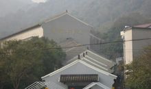 心灵深处的红柿