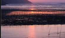 为了心中那片海