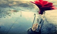 真想对你说声谢谢