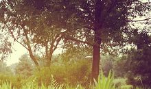 小草般的青春最美丽