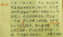 鸡蛋浮起来的实验作文三年级