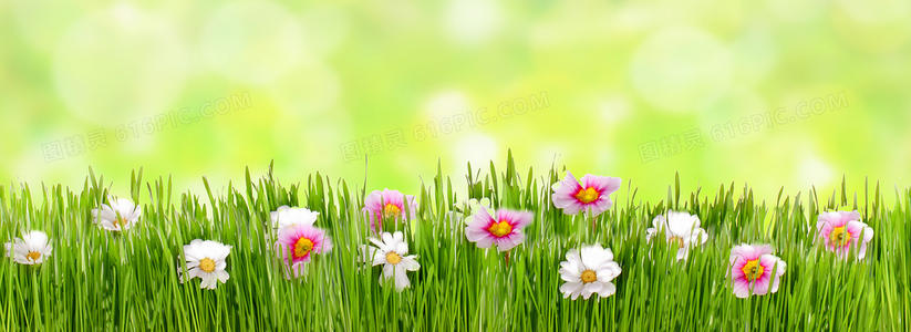 草和花