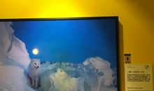 天上明月，人间烟火